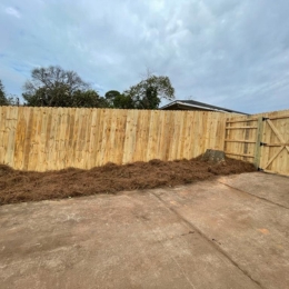 Fence Painting